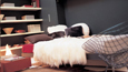 Photo 04